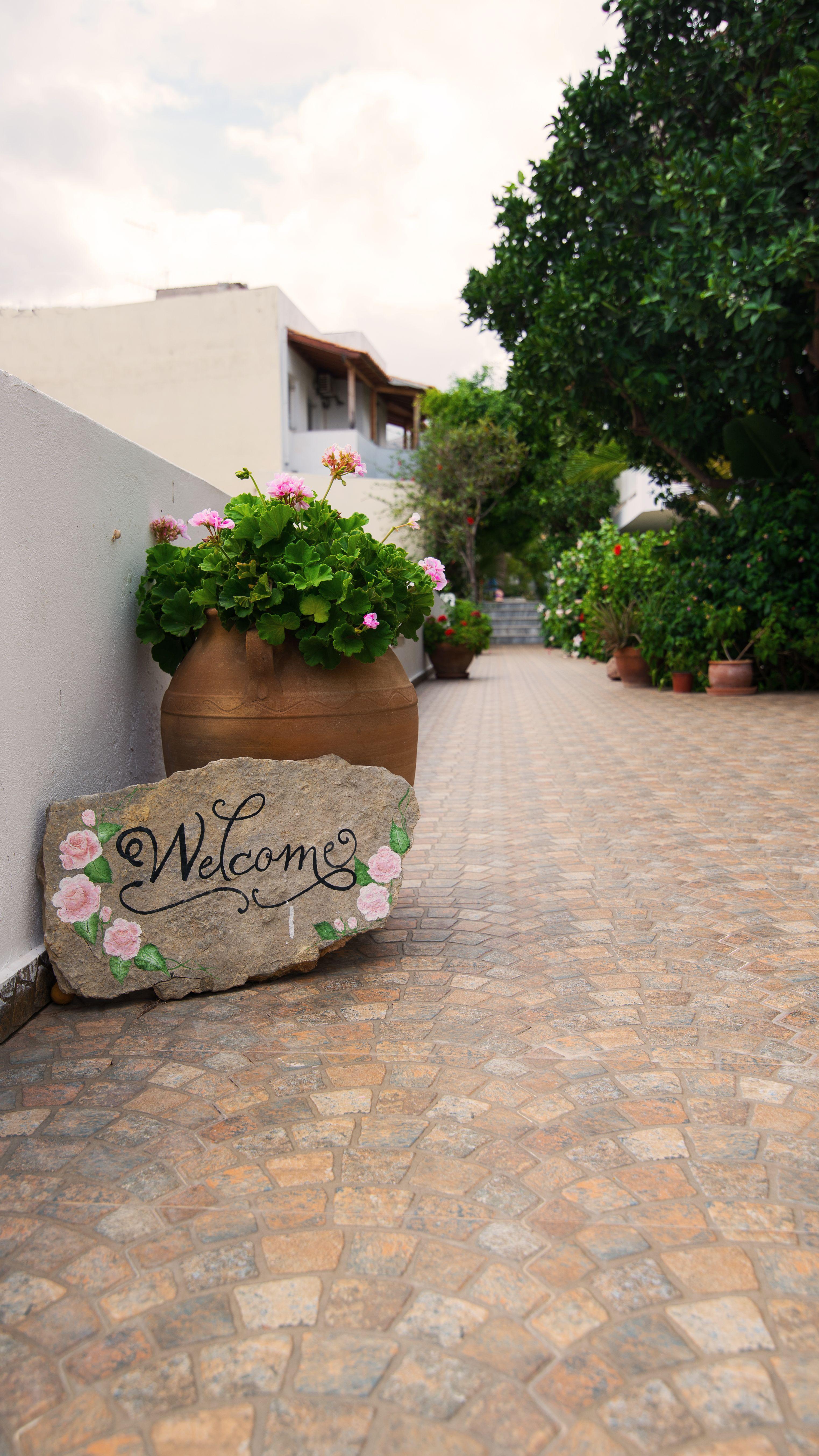Melissa Apartments, Studios & Suites Malia Dış mekan fotoğraf