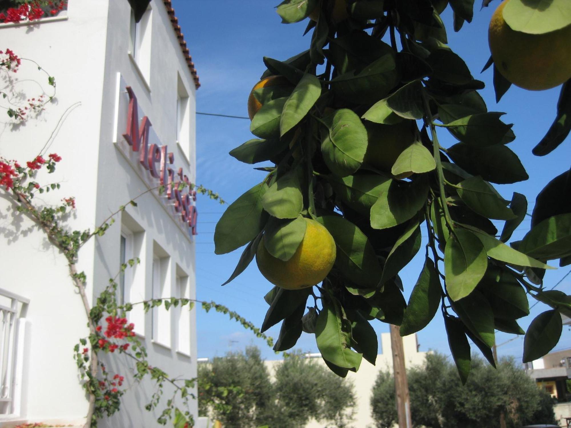Melissa Apartments, Studios & Suites Malia Dış mekan fotoğraf